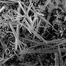 Tinh thể canxi carbonat trong vòi sen dưới kính hiển vi
