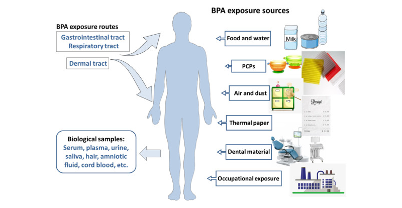 Nguồn phơi nhiễm BPA