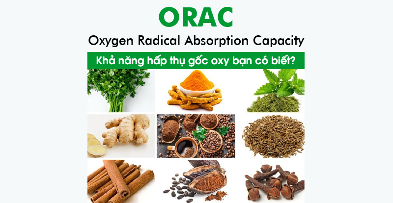 ORAC- Khả năng hấp thụ gốc oxy