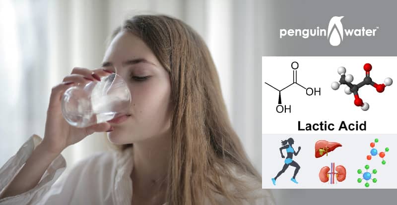 Axit Lactic tác động đến việc tập thể dục như thế nào?